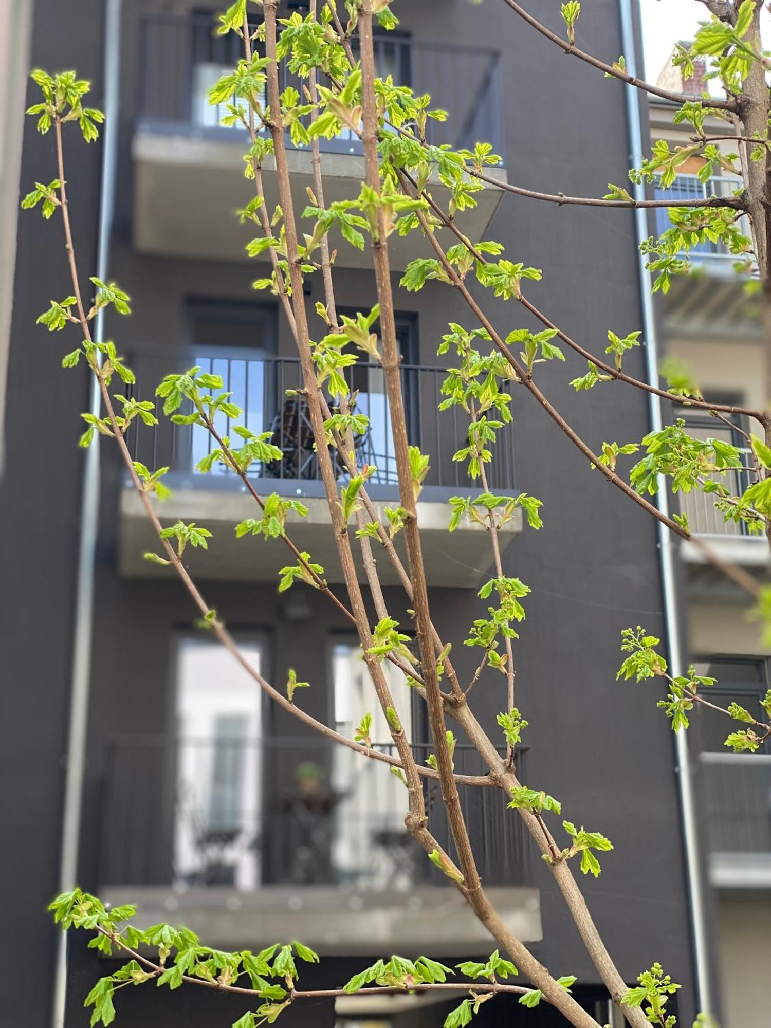 Eiwelhome - Stilvoll, Urban-Ruhig Schlafen, Bahnhofsnah, Balkon Erfurt Exteriér fotografie